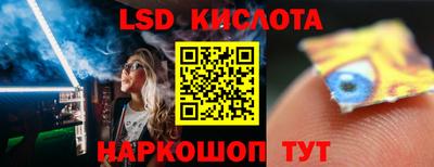 PSILOCYBIN Кинель