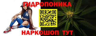 МДПВ Кингисепп