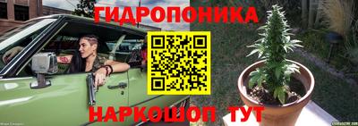 МДПВ Кингисепп