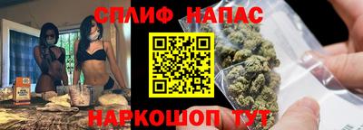 МДПВ Кингисепп