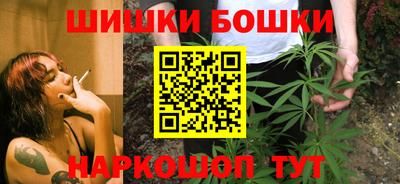 МДПВ Кингисепп
