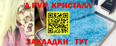 МДПВ Кингисепп