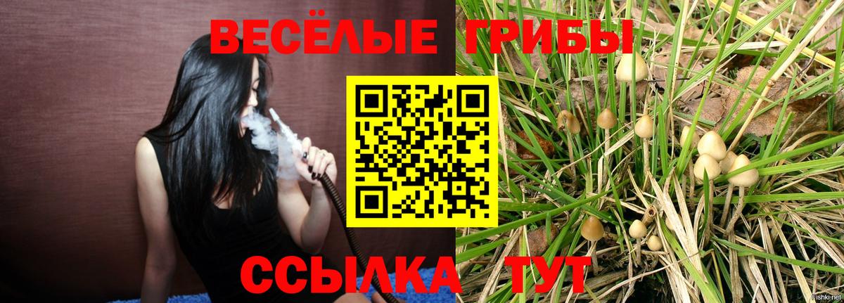 Галлюциногенные грибы Magic Shrooms Химки